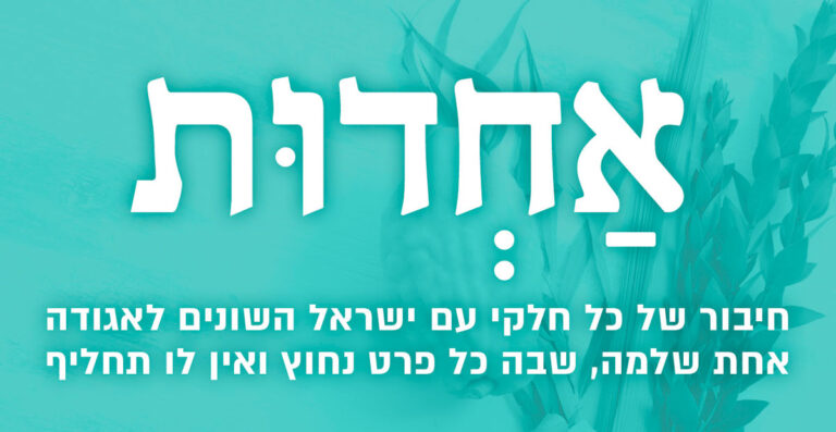 ניוזלטר סוכות תשפ"ז